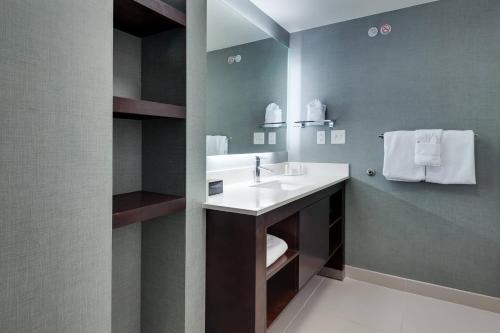 a bathroom with a sink and a mirror at Residence Inn by Marriott Austin Airport in Austin
