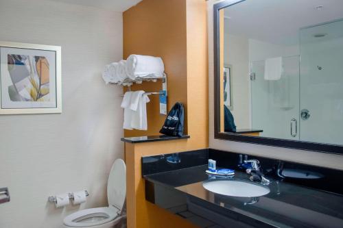 a bathroom with a sink and a toilet and a mirror at Fairfield Inn & Suites by Marriott Atlanta Cumming/Johns Creek in Cumming