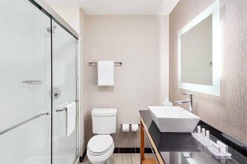 a bathroom with a sink and a toilet and a mirror at SpringHill Suites by Marriott Roanoke in Roanoke