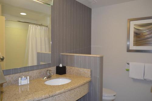 a bathroom with a sink and a toilet and a mirror at Courtyard by Marriott Winchester Medical Center in Winchester