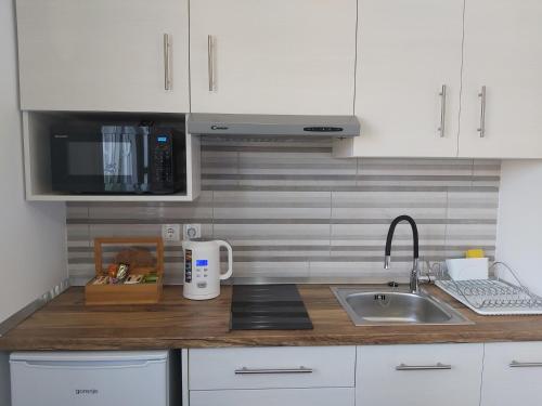 a kitchen counter with a sink and a microwave at Studio apartman Draga in Velika Ludina