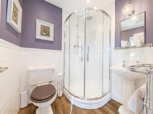 a bathroom with a shower and a toilet and a sink at Prospect Cottage Loft in Ambleside