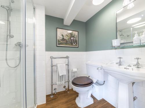a bathroom with a toilet and a sink and a shower at Prospect Cottage Studio in Ambleside
