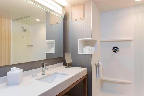 a bathroom with a sink and a mirror at Courtyard by Marriott Holland Downtown in Holland