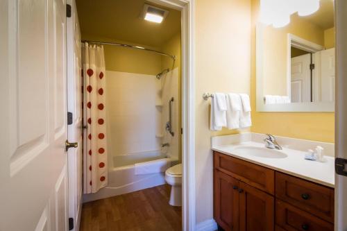 a bathroom with a sink and a toilet and a mirror at TownePlace Suites by Marriott Las Cruces in Las Cruces