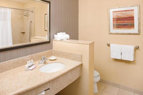 een badkamer met een wastafel en een toilet bij Courtyard by Marriott Paso Robles in Paso Robles