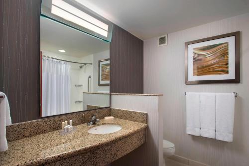 a bathroom with a sink and a mirror at Courtyard Republic Airport Long Island/Farmingdale in Farmingdale