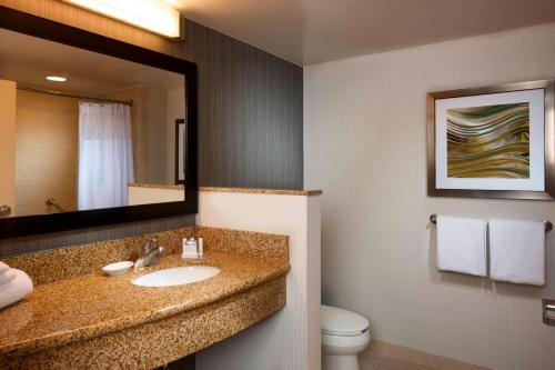 ein Badezimmer mit einem Waschbecken, einem Spiegel und einem WC in der Unterkunft Courtyard by Marriott Jackson in Jackson