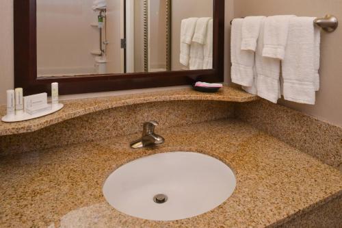 a bathroom counter with a sink and a mirror at SpringHill Suites Pittsburgh Mills in Tarentum