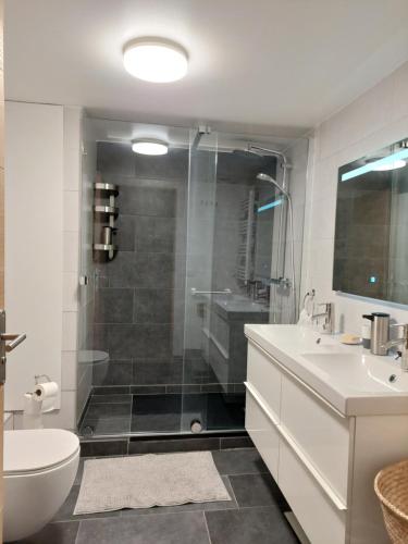 La salle de bains est pourvue d'une douche, de toilettes et d'un lavabo. dans l'établissement Paris beaugrenelle: charmante résidence, à Paris