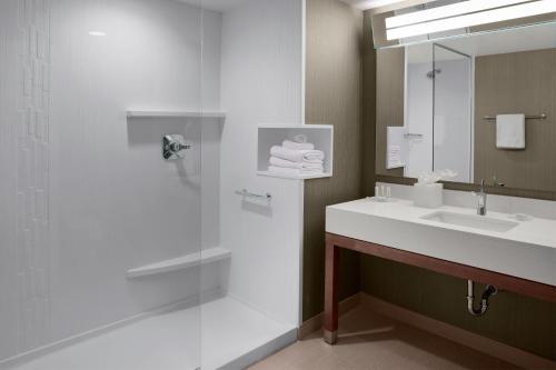 a bathroom with a shower with a sink and a mirror at Courtyard by Marriott Dallas Flower Mound in Flower Mound