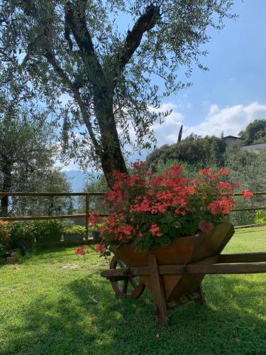 a wooden bench with a pot of red flowers at Appartamento Gardenia in Malcesine