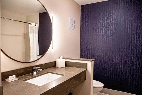 y baño con lavabo y espejo. en Fairfield Inn & Suites by Marriott Richmond Airport, en Sandston