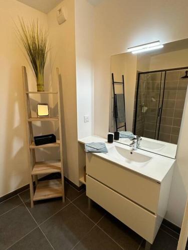 une salle de bain avec un lavabo et un miroir dans l'établissement Appartement neuf proche Arcachon, à La Teste-de-Buch