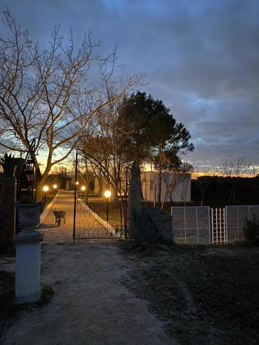 a gate in a yard at night with a dog at Agriturismo Tenuta la Monaca in Aradeo