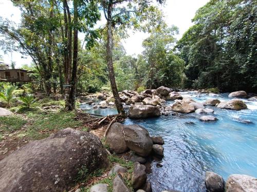 Escape Vista Rio Celeste – Photos 5