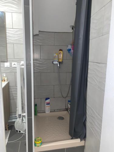 Kúpeľňa v ubytovaní Superbe appartement en hyper centre-ville