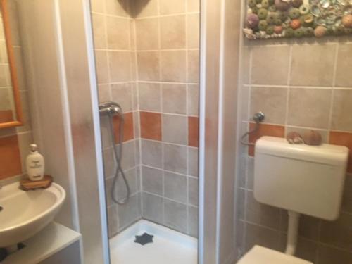 ein Bad mit einer Dusche, einem WC und einem Waschbecken in der Unterkunft Apartment by the sea Žirje with private heated hydromassage pool in Žirje