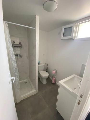 une salle de bain avec une douche, des toilettes et un lavabo dans l'établissement Appartement près de l aéroport CDG et Disneyland, à Claye-Souilly