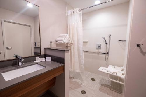 ein Bad mit einem Waschbecken und einer Dusche in der Unterkunft Fairfield by Marriott Inn & Suites Fond du Lac in Fond du Lac