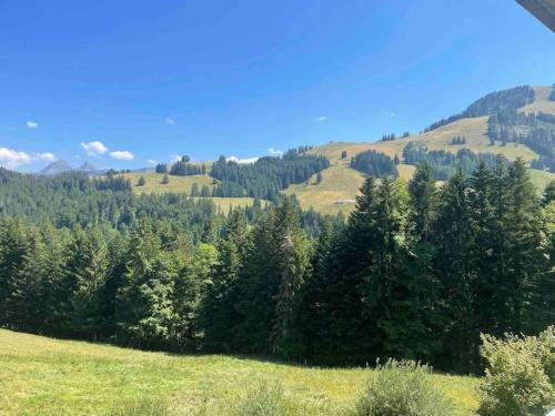 ein üppiger grüner Hügel mit Bäumen auf einem Feld in der Unterkunft Superbe appartement 3.5 avec cheminée in Gruyères