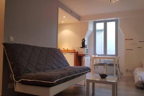 Il comprend un salon avec un canapé et une cuisine. dans l'établissement Entre lac et montagne proche gare et thermes., à Aix-les-Bains