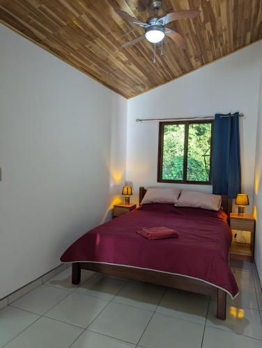 Casita Verde – Photos 5