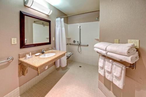 a bathroom with a sink and a shower at SpringHill Suites by Marriott Naples in Naples
