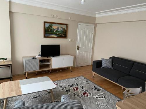 a living room with a black couch and a tv at 3+1 stylish furnished and spacious apartment in the center of Istanbul in Istanbul