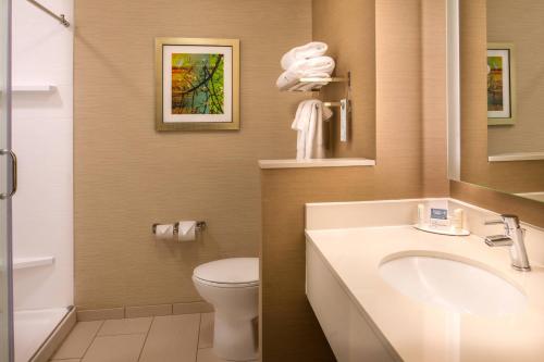 een badkamer met een toilet en een wastafel bij Fairfield Inn & Suites by Marriott St. Louis Westport in Maryland Heights