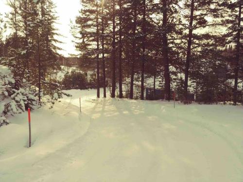 a snow covered field with trees in the background at Le Chalet Bleu, aux pieds des Monts-Valin in Saint-David-de-Falardeau