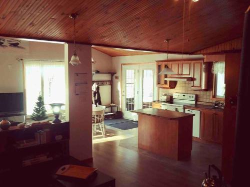 a kitchen with a kitchen island and a living room at Le Chalet Bleu, aux pieds des Monts-Valin in Saint-David-de-Falardeau