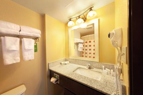 W łazience znajduje się umywalka i lustro. w obiekcie TownePlace Suites Wilmington Newark / Christiana w mieście Newark
