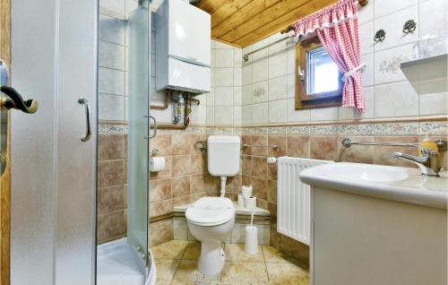 Mala Ludina的住宿－Cozy Home In Mala Ludina With Kitchen，一间带卫生间和水槽的浴室