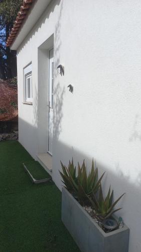 Fotografia z galérie ubytovania Passiflore 1 Métro malpasse 3mn v destinácii Marseille