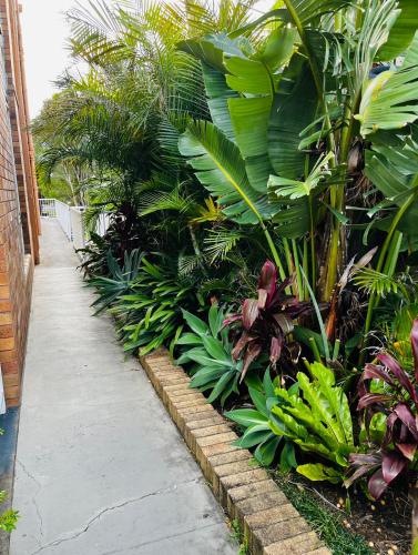 a garden with tropical plants and a sidewalk at Eloura Gardens 100m to Beach in Cronulla