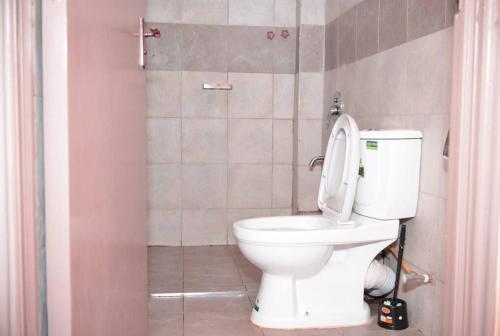 a bathroom with a white toilet and a shower at Nova Homes in Thika