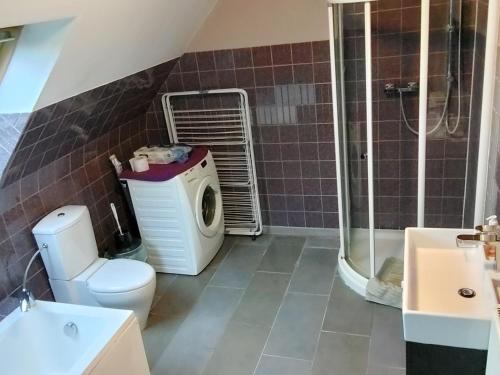 a bathroom with a shower and a toilet and a sink at loft/appartement golden dragon in Dessel