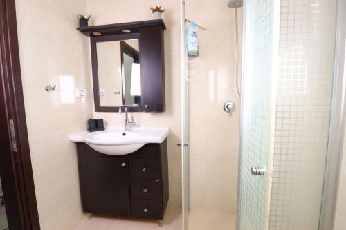 a bathroom with a sink and a shower with a mirror at הפינה בנחל in Hagoshrim