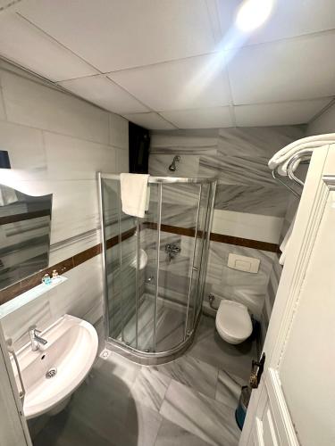 a bathroom with a shower and a sink and a toilet at Hotel Alp Guesthouse in Istanbul