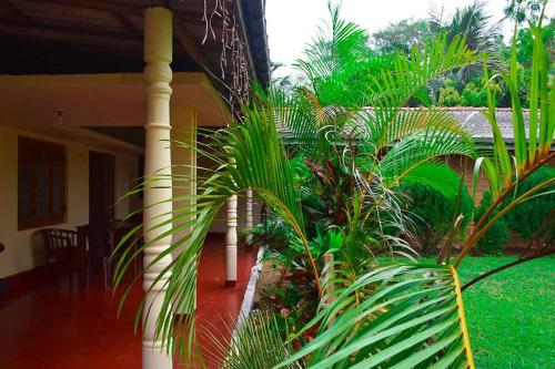 a porch of a house with some palm trees at Beach Walk Villa in Trincomalee