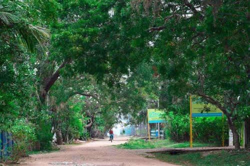 a person riding a bike down a dirt road with trees at Beach Walk Villa in Trincomalee