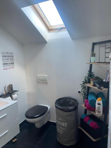 ein Badezimmer mit einem WC, einem Waschbecken und einem Dachfenster in der Unterkunft Le cocon de la belle liégeoise in Lüttich
