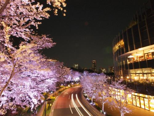 a street lined with flowering trees with purple lights at APA Hotel Roppongi Ekimae in Tokyo