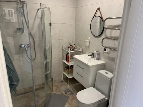 een badkamer met een douche, een toilet en een wastafel bij City Life in Vilnius