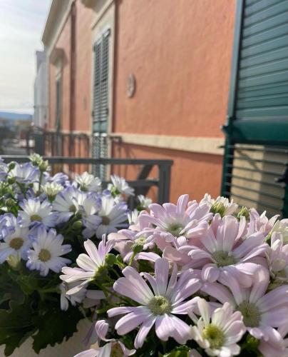 La Marinella – Photos 4
