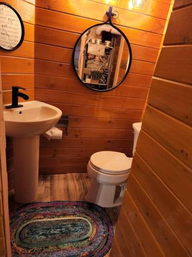a bathroom with a sink and a toilet and a mirror at The Eagle's Nest Treehouse Cabin in Palmer