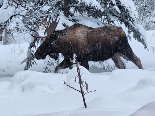 a statue of a moose walking in the snow at The Eagle's Nest Treehouse Cabin in Palmer