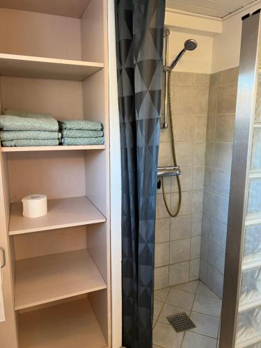 a walk in shower in a bathroom with a shower curtain at Hyggelig & lys kælderlejlighed in Herning