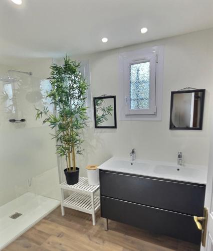 La salle de bains est pourvue d'une baignoire, d'un lavabo et d'une plante. dans l'établissement Villa jacuzzi à 10min dAix en Pce, à Gardanne